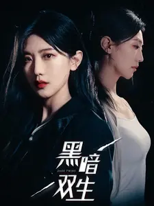 《黑暗双生》：双重人格迷雾，真相在阴影中显现